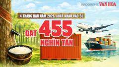 Xuất khẩu cao su 4 tháng đầu năm 2026 đạt 455 nghìn tấn, thu về 844,7 triệu USD