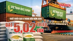 Xuất khẩu gạo Việt Nam 6 tháng đầu năm 2026 đạt 5,02 triệu tấn, thu về 2,38 tỉ USD