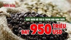 Xuất khẩu hồ tiêu 6 tháng đầu năm 2026 đạt 950 triệu USD, tăng mạnh cả lượng và kim ngạch