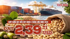 Xuất khẩu hạt điều Việt Nam 6 tháng đầu năm 2026 đạt 2,39 tỉ USD