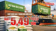 Xuất khẩu gạo 7 tháng năm 2026 đạt 5,49 triệu tấn, thu hơn 2,6 tỉ USD