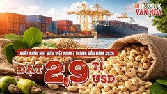 Xuất khẩu hạt điều Việt Nam đạt 2,9 tỉ USD, Trung Quốc dẫn đầu
