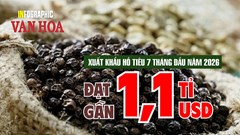 Hồ tiêu Việt Nam thu gần 1,1 tỉ USD sau 7 tháng, tăng 11,1% so với cùng kỳ