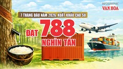 Xuất khẩu cao su 7 tháng đầu năm 2026: Gần 1,55 tỉ USD, Trung Quốc dẫn đầu