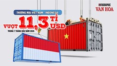 Việt Nam chi 7,73 tỉ USD nhập hàng từ Indonesia, nhập siêu 4,17 tỉ USD