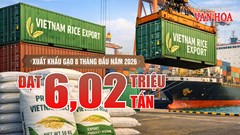 Xuất khẩu gạo 8 tháng đạt 6,02 triệu tấn, thu 2,9 tỉ USD