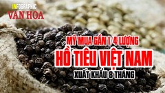 Mỹ mua gần 1/4 lượng hồ tiêu Việt Nam xuất khẩu 8 tháng