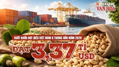 Xuất khẩu hạt điều đạt 3,37 tỉ USD dù lượng giảm 0,9%
