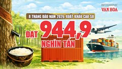 944,9 nghìn tấn cao su xuất khẩu: Bán ít hơn, giá vẫn tăng 12,2%