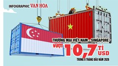 10,7 tỉ USD thương mại Việt Nam - Singapore, nhập siêu 1,55 tỉ USD