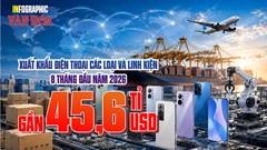 Mặt hàng nào mang về gần 45,6 tỉ USD, tháng 8 bất ngờ vượt 7 tỉ?