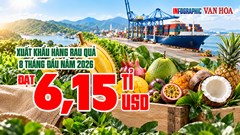 Ai đã chi 3,87 tỉ USD mua rau quả Việt Nam sau 8 tháng?