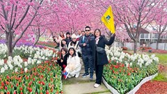 Cần kế hoạch dài hạn