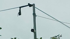  “Mắt thần” ngăn xả rác bừa bãi