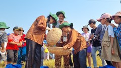  Đưa Lễ hội Ngày mùa thành sản phẩm du lịch đặc trưng