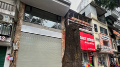  Sao đen và Sưa đỏ