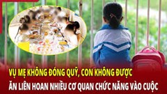 Ngẫm về Ban đại diện cha mẹ học sinh 