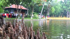  Nhớ những tháng ngày sớm hôm bên Bác