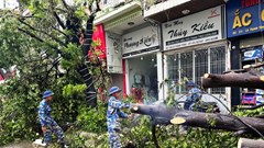  Nhanh như tỉnh Quảng Ninh 