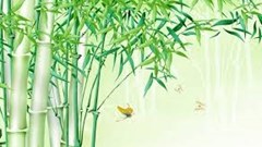  Từ cây tre Việt Nam…