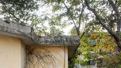  Đừng xem là chuyện nhỏ 