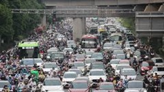  Sao lại là “thả rông”? 