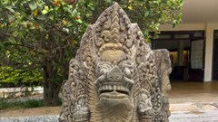 Nhịp chuyển của Naga và mùa xuân