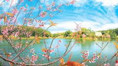  “Mùa Xuân tinh thần” bước vào kỷ nguyên mới 