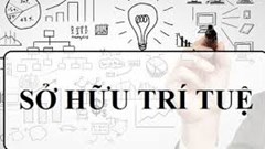  Chuyện bản quyền 