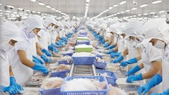  Cơ hội của sản xuất 