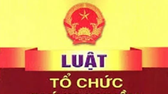  Nên có cơ chế thành lập cơ quan đại diện cấp vùng 