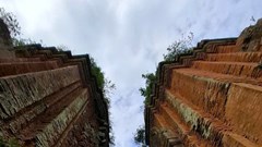 Những vệt đen biết thở