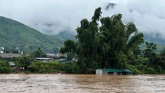 Sông Mã nước dâng cao, nguy cơ chạm đỉnh lịch sử lũ