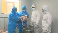 Báo động đỏ trên 30 tỉnh