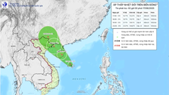 Cảnh báo và ứng phó