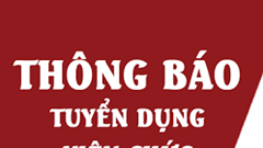 Tuyển dụng viên chức trong các đơn vị sự nghiệp công lập thuộc Cục Thể dục thể thao Việt Nam năm 2025