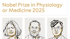 Giải Nobel Y sinh 2025 vinh danh 3 nhà khoa học về hệ miễn dịch tự kiểm soát