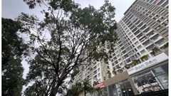 Đồng Nai giảm lãi suất cho vay nhà ở xã hội xuống 5,4%/năm