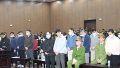 Hai cựu Cục trưởng Cục An toàn thực phẩm lĩnh tổng cộng 35 năm tù