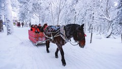 Giới trẻ Trung Quốc trả tiền để… “bị lưu đày” giữa băng tuyết