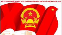  Lá phiếu, khi quyền làm chủ trở thành giá trị văn hóa 