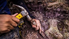 Phát hiện hóa thạch khủng long khổng lồ mới ở Brazil, hé lộ “cầu nối” cổ đại giữa ba châu lục