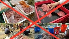  Thức ngon và cảm giác 