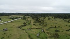 Nghiên cứu mới đặt lại niên đại di tích Monte Verde và lịch sử định cư châu Mỹ