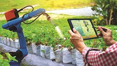 Xu hướng ứng dụng ngân hàng số và công nghệ vào chuỗi cung ứng nông sản