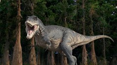 Vì sao khủng long T-rex có cánh tay nhỏ xíu dù là loài săn mồi khổng lồ?