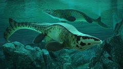 Loài quái vật biển khổng lồ được ví như “T. rex của đại dương“