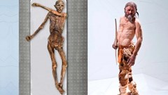 Phát hiện “thế giới sống” bên trong xác ướp 5.300 năm tuổi