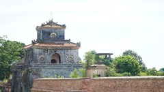 Có nên loại bỏ toàn bộ?