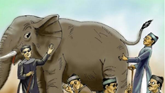  Cẩn trọng không thừa